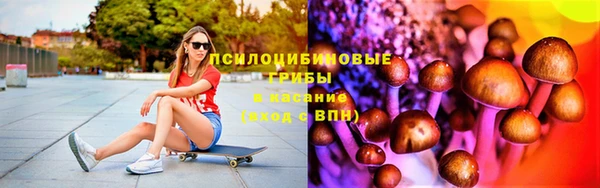 apvp Верея