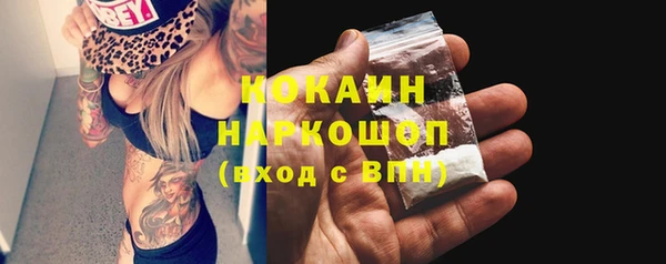 apvp Верея