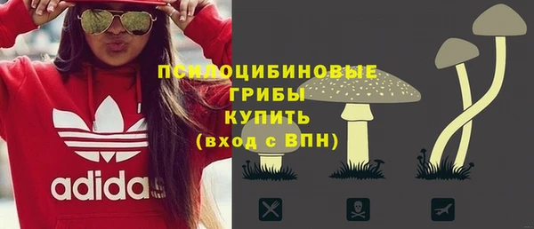 apvp Верея