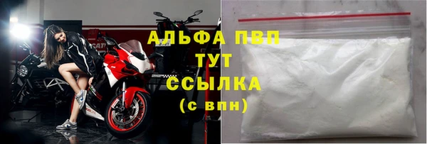 apvp Верея
