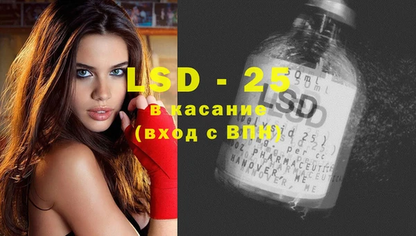apvp Верея