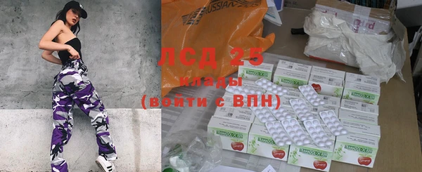 apvp Верея