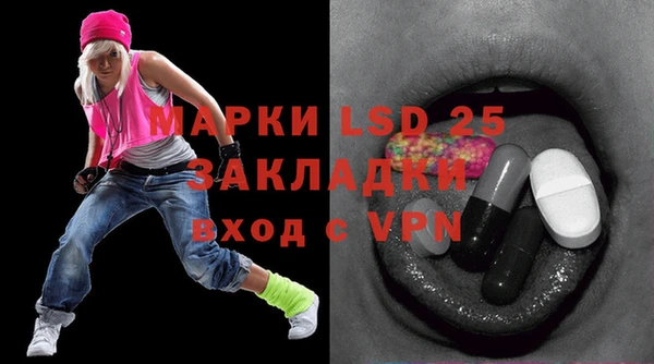 apvp Верея